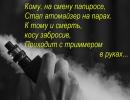 Фотоальбом «Картинки со стихами.»