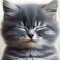 Юлия Вагнер 